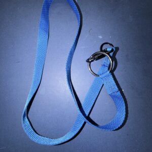 16" Webbing Tape Leash w/ Clips (blue)